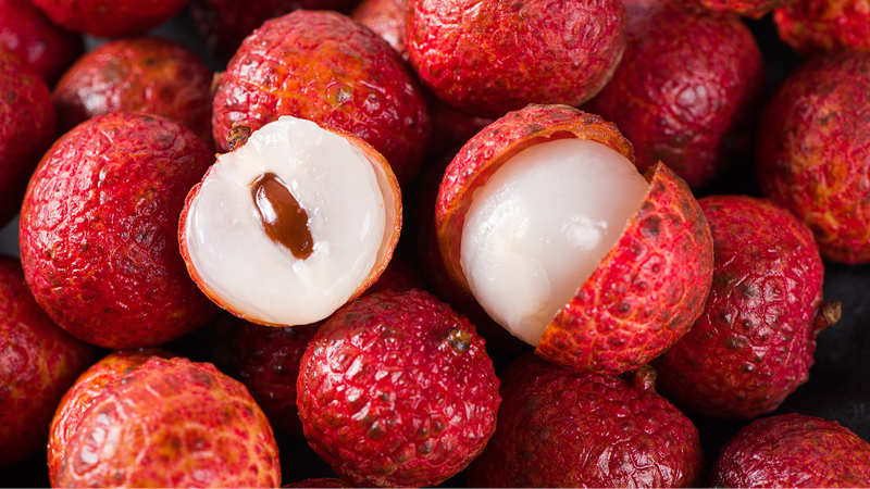 China_s_Tropical_Treasure__105_Germplasm_Banks_Unveiled___ - News for amigos, by amigos __China_s_Tropical_Treasure__105_Germplasm_Banks_Unveiled___