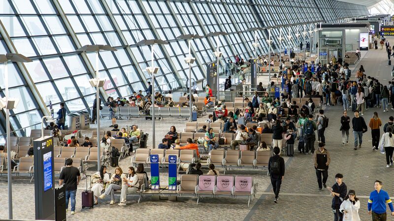 China_s_Visa_Free_Policy_Sparks_French_Travel_Boom - News for amigos, by amigos China_s_Visa_Free_Policy_Sparks_French_Travel_Boom