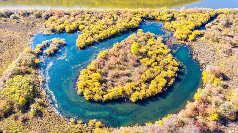 China_s_Wetlands_Flourish__Stability_Reported_on_World_Wetlands_Day___ - News for amigos, by amigos China_s_Wetlands_Flourish__Stability_Reported_on_World_Wetlands_Day___