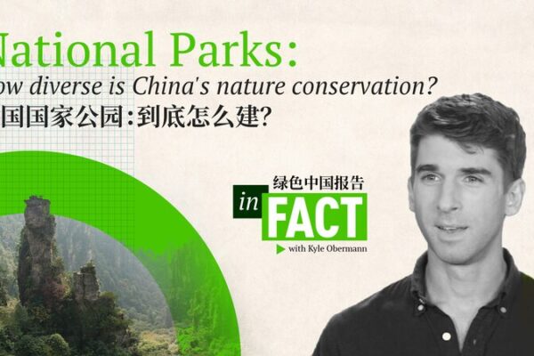 China’s Wild Side: Unveiling the 42% of Untamed Lands 🌲 China_s_Wild_Side__Unveiling_the_42__of_Untamed_Lands__ video poster
