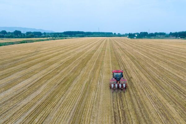 🌞 China’s $62 Million Cool Move to Fight Drought and Boost Crops __China_s__62_Million_Cool_Move_to_Fight_Drought_and_Boost_Crops