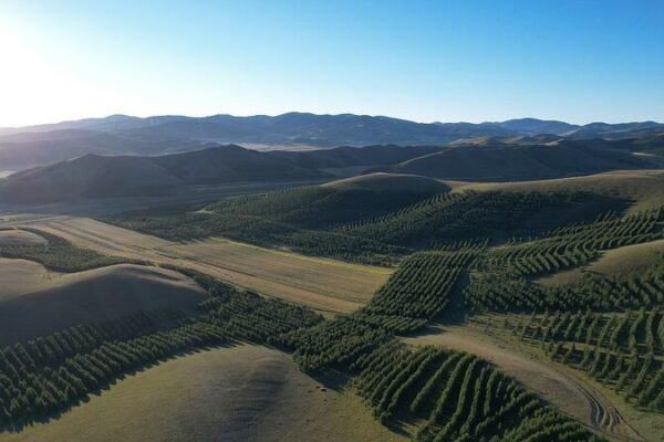 China’s ‘Green Great Wall’: Battling Desertification One Tree at a Time China_s__Green_Great_Wall___Battling_Desertification_One_Tree_at_a_Time video poster