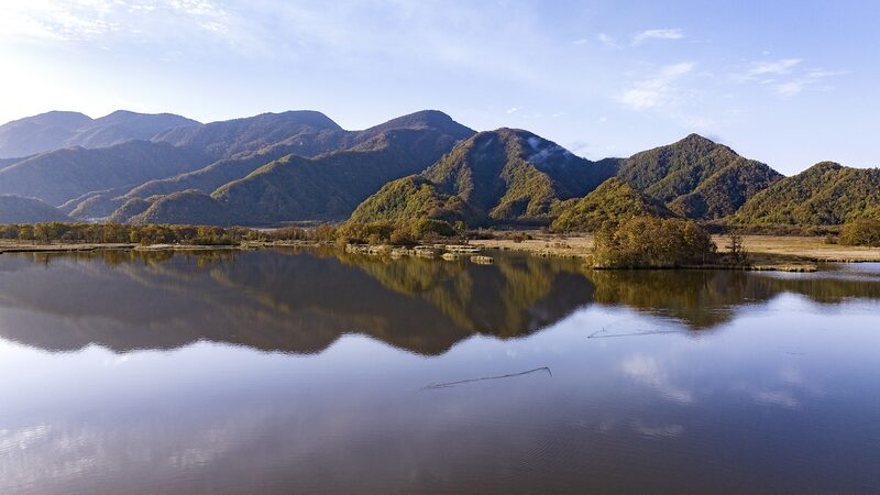 Chinese_Energy_Giants_Unite_for_Biodiversity_Conservation_in_Shennongjia__ - News for amigos, by amigos Chinese_Energy_Giants_Unite_for_Biodiversity_Conservation_in_Shennongjia__