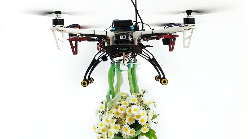 Chinese_Engineers_Create_Plant_Inspired_Soft_Drone_Grippers_for_Delicate_Tasks___ - News for amigos, by amigos Chinese_Engineers_Create_Plant_Inspired_Soft_Drone_Grippers_for_Delicate_Tasks___