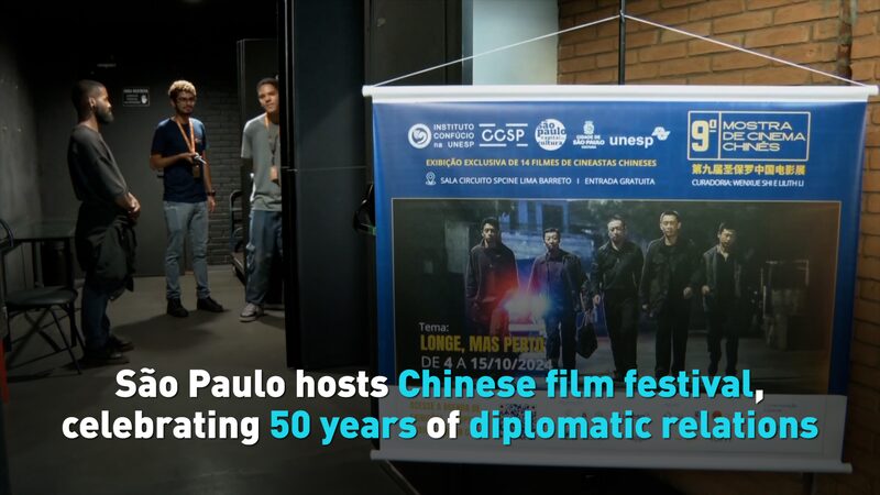__Chinese_Films_Shine_at_Sa_o_Paulo_s_9th_Cinema_Festival_ video poster