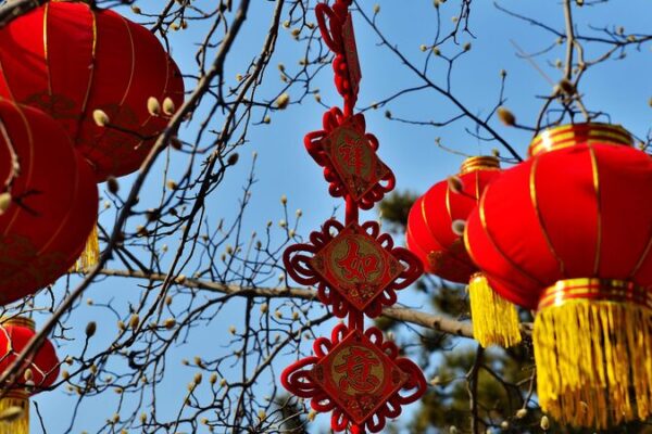 🎉 Chinese Leaders Share Spring Festival Cheer with Retired Officials 🎊 __Chinese_Leaders_Share_Spring_Festival_Cheer_with_Retired_Officials__