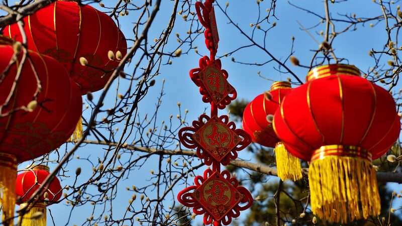 Chinese_Leaders_Share_Spring_Festival_Cheer_with_Retired_Officials__ - News for amigos, by amigos __Chinese_Leaders_Share_Spring_Festival_Cheer_with_Retired_Officials__
