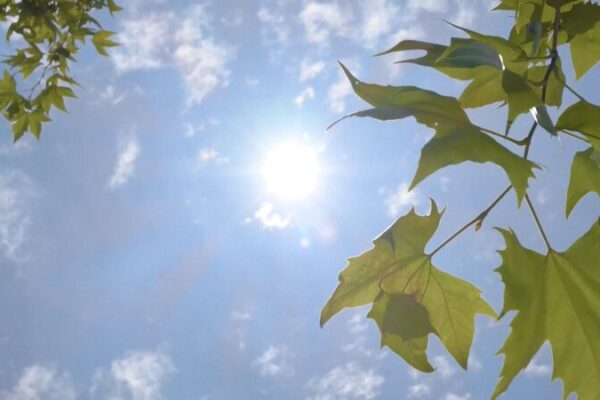 Chinese Provinces Boost Power and Water Supplies to Beat the Heat Chinese_Provinces_Boost_Power_and_Water_Supplies_to_Beat_the_Heat video poster