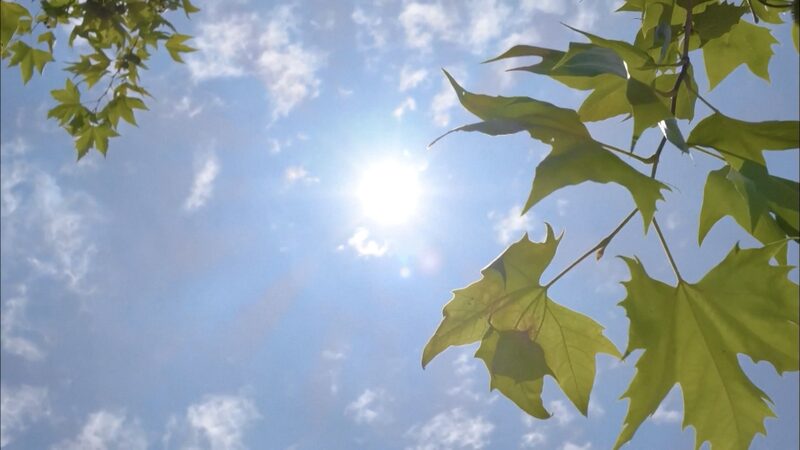 Chinese_Provinces_Boost_Power_and_Water_Supplies_to_Beat_the_Heat_poster - News for amigos, by amigos Chinese_Provinces_Boost_Power_and_Water_Supplies_to_Beat_the_Heat video poster