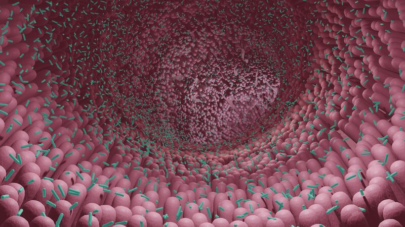 Chinese_Researchers_Reveal_Gut_Microbiome_s_Role_in_Slowing_Aging____ - News for amigos, by amigos Chinese_Researchers_Reveal_Gut_Microbiome_s_Role_in_Slowing_Aging____
