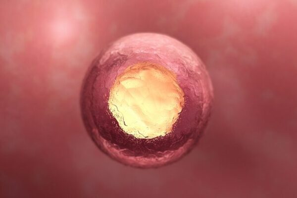 Chinese Scientists Build First 3D Model of Three-Week-Old Human Embryo 🚀 Chinese_Scientists_Build_First_3D_Model_of_Three_Week_Old_Human_Embryo__