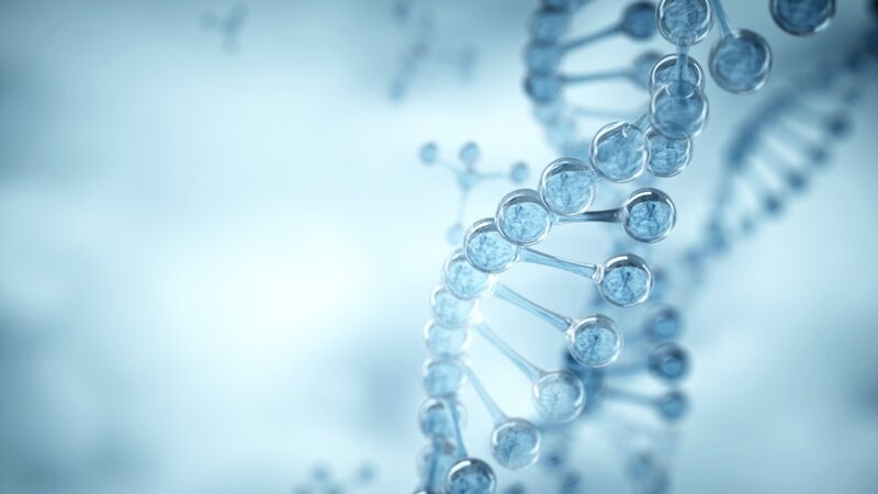 Chinese_Scientists_Discover_Longevity_Gene_That_Could_Extend_Lifespan_and_Control_Pests - News for amigos, by amigos Chinese_Scientists_Discover_Longevity_Gene_That_Could_Extend_Lifespan_and_Control_Pests