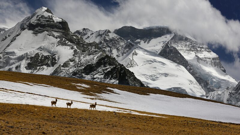 Chinese_Scientists_Reveal_Permafrost_Mysteries_on_Qinghai_Xizang_Plateau____