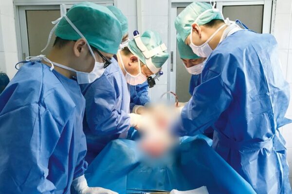 Chinese Scientists Revive Pig Brain After 50 Minutes—A Medical Breakthrough! Chinese_Scientists_Revive_Pig_Brain_After_50_Minutes_A_Medical_Breakthrough_