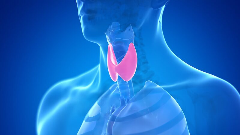 Chinese_Scientists_Unveil_Game_Changing_Tech_in_Thyroid_Cancer_Detection__ - News for amigos, by amigos Chinese_Scientists_Unveil_Game_Changing_Tech_in_Thyroid_Cancer_Detection__