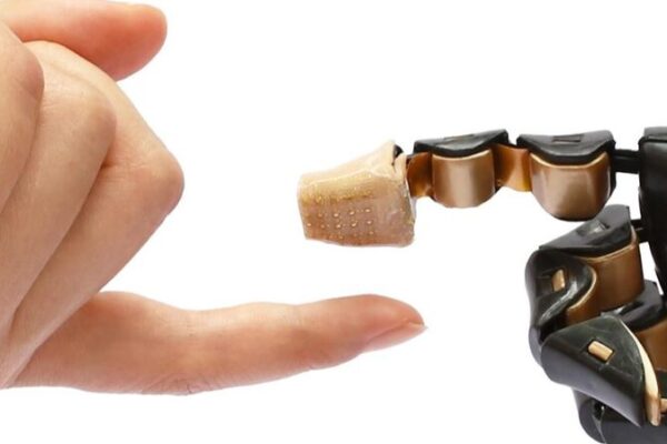 Chinese Scientists Unveil World’s First 3D E-Skin Mimicking Human Touch Chinese_Scientists_Unveil_World_s_First_3D_E_Skin_Mimicking_Human_Touch