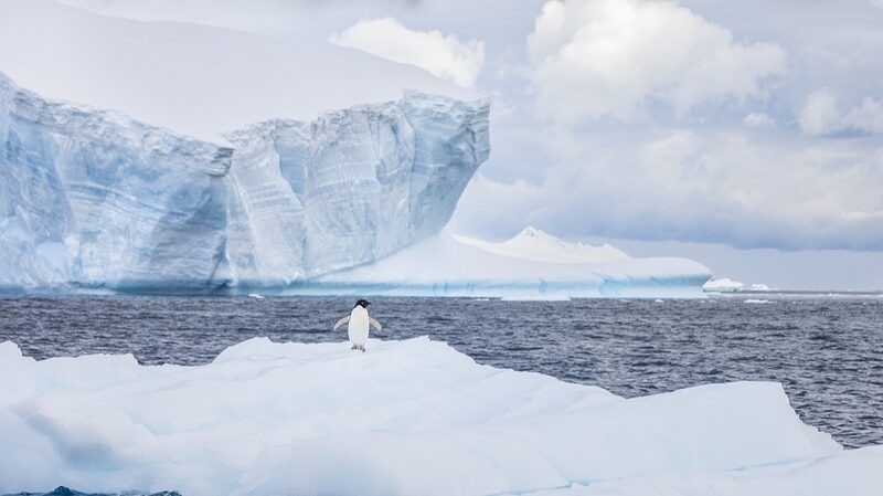 Chinese_Scientists_Use_AI_to_Predict_Antarctic_Sea_Ice_with_Amazing_Accuracy___ - News for amigos, by amigos Chinese_Scientists_Use_AI_to_Predict_Antarctic_Sea_Ice_with_Amazing_Accuracy___