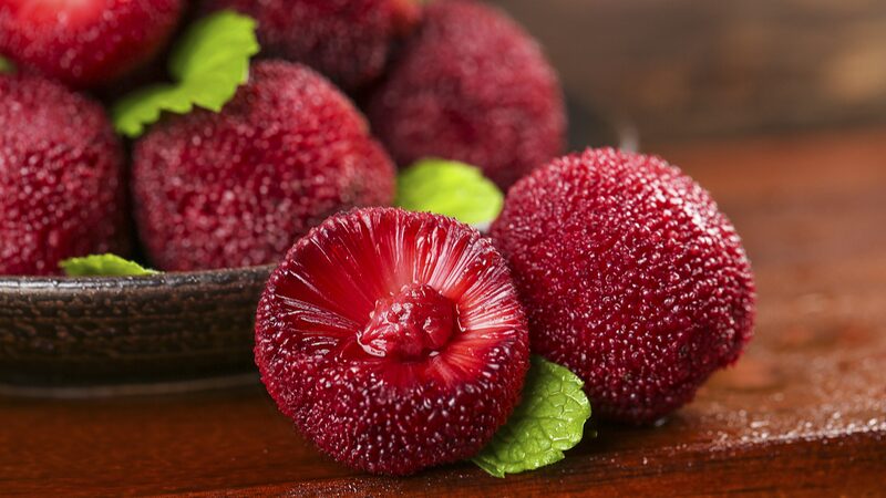 Chinese_Waxberry_Growers_Amp_Up_for_Global_Fruit_Lovers___