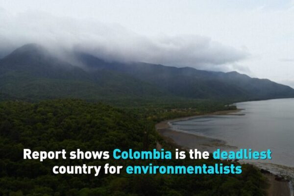 Colombia: World’s Most Dangerous Place for Environmental Heroes 🌿 Colombia__World_s_Most_Dangerous_Place_for_Environmental_Heroes__ video poster