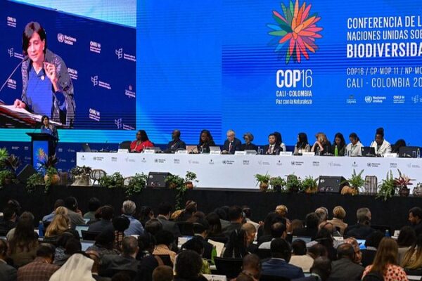 🌿 Colombia’s COP16: Leaders Urge World to Fund Nature’s Survival __Colombia_s_COP16__Leaders_Urge_World_to_Fund_Nature_s_Survival