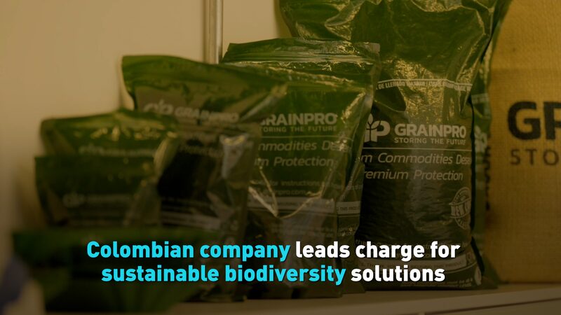 Colombian_Company_Pioneers_Sustainable_Biodiversity_Solutions_Ahead_of_COP16_poster - News for amigos, by amigos Colombian_Company_Pioneers_Sustainable_Biodiversity_Solutions_Ahead_of_COP16 video poster