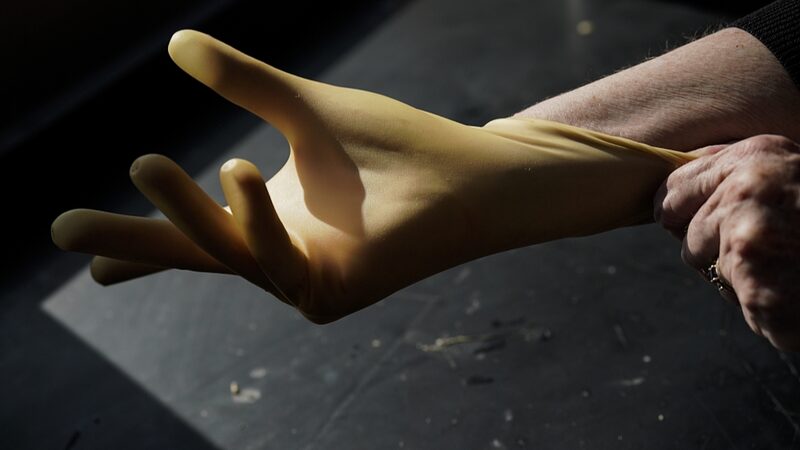 Could_Dandelions_and_Desert_Shrubs_Be_the_Future_of_Rubber_in_the_U_S_____ - News for amigos, by amigos Could_Dandelions_and_Desert_Shrubs_Be_the_Future_of_Rubber_in_the_U_S_____