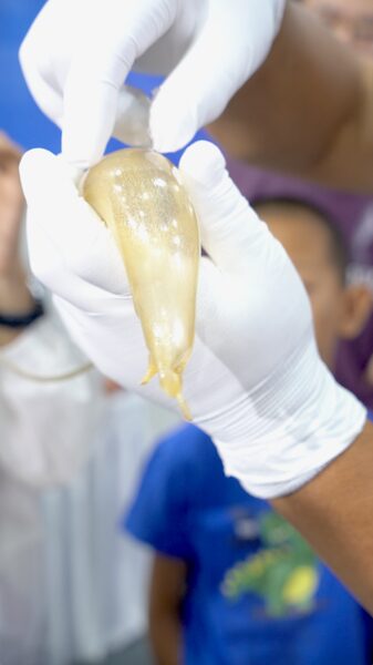 Crafting_Sweet_Art_Together__Visitors_Join_Tianmen_Sugar_Figurine_Master_poster - News for amigos, by amigos Crafting_Sweet_Art_Together__Visitors_Join_Tianmen_Sugar_Figurine_Master video poster