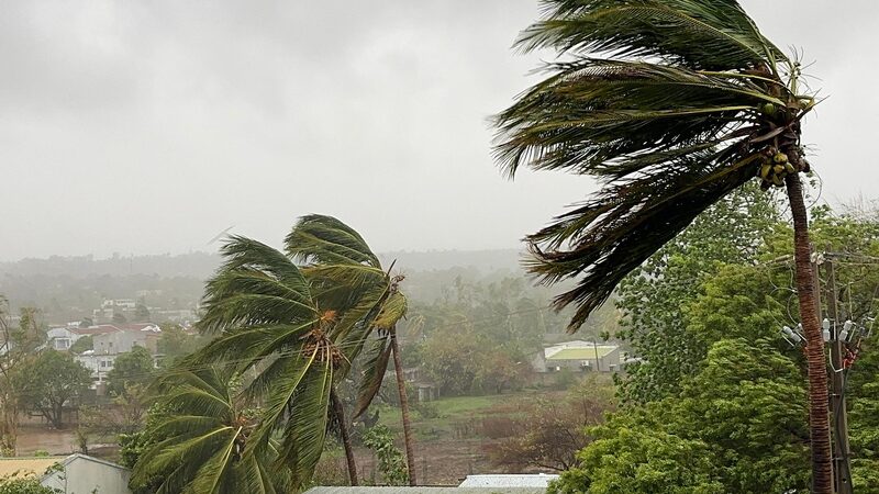 Cyclone_Chido_s_Devastation_in_Mozambique__73_Lives_Lost__Thousands_Affected - News for amigos, by amigos __Cyclone_Chido_s_Devastation_in_Mozambique__73_Lives_Lost__Thousands_Affected