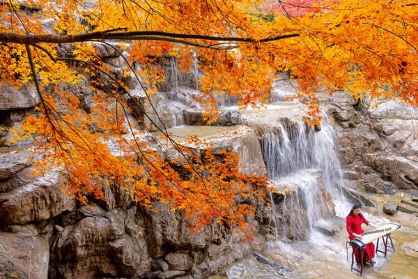 🍁 Dayi Mountain Dazzles with Autumn Colors: A November Must-See! __Dayi_Mountain_Dazzles_with_Autumn_Colors__A_November_Must_See_