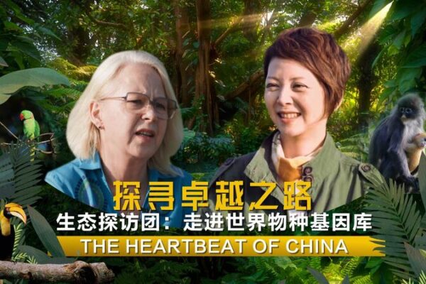 Dehong’s Hidden Paradise: Unveiling China’s Wild Side 🌿 Dehong_s_Hidden_Paradise__Unveiling_China_s_Wild_Side__