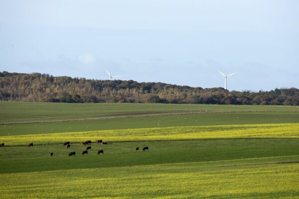 Denmark Pioneers World’s First Livestock Carbon Tax 🌍🐄🐖 Denmark_Pioneers_World_s_First_Livestock_Carbon_Tax____