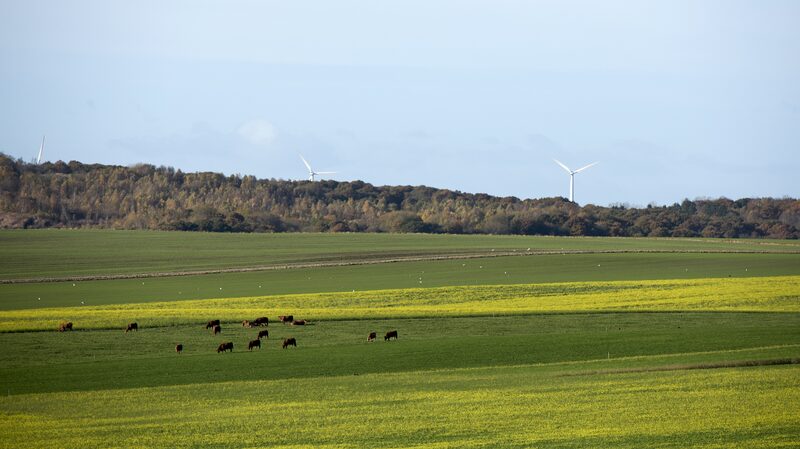 Denmark_Pioneers_World_s_First_Livestock_Carbon_Tax____ - News for amigos, by amigos Denmark_Pioneers_World_s_First_Livestock_Carbon_Tax____