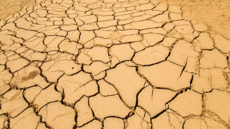 Desertification__Why_the_World_is_Gathering_in_Saudi_Arabia__
