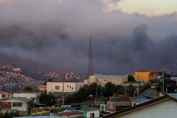 Devastating Wildfire Engulfs Chile’s Beloved Botanical Haven 🌿🔥 Devastating_Wildfire_Engulfs_Chile_s_Beloved_Botanical_Haven___