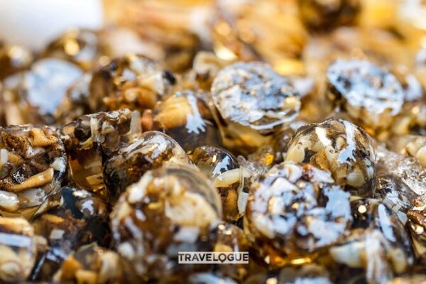 Dig In! Xiamen’s ‘Tu Sun Dong’ Sandworm Jelly Is the Next Food Adventure Dig_In__Xiamen_s__Tu_Sun_Dong__Sandworm_Jelly_Is_the_Next_Food_Adventure