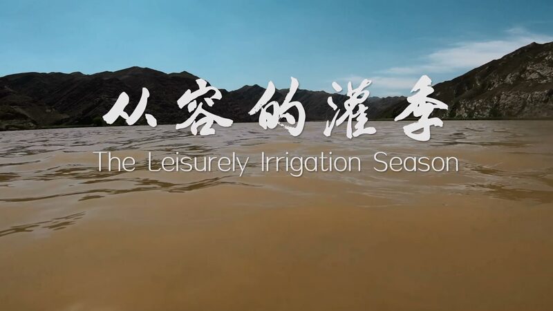 Digital_Irrigation_in_Ningxia__How_Tech_is_Saving_Water_and_Empowering_Farmers____poster - News for amigos, by amigos Digital_Irrigation_in_Ningxia__How_Tech_is_Saving_Water_and_Empowering_Farmers___ video poster