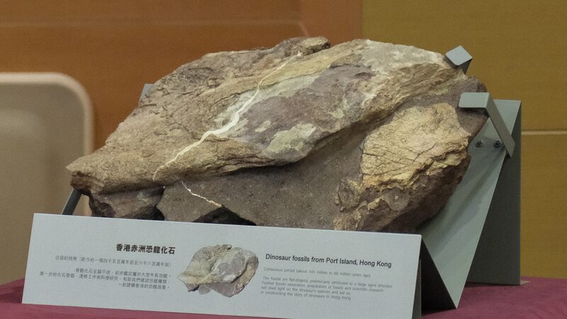 Dinosaurs_in_Hong_Kong___First_Fossils_Unearthed_on_Port_Island__ - News for amigos, by amigos Dinosaurs_in_Hong_Kong___First_Fossils_Unearthed_on_Port_Island__