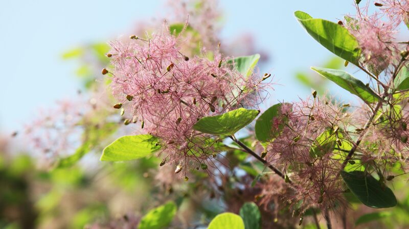Discover_Beijing_s_Western_Hills__A_Lush_Spring_Escape__