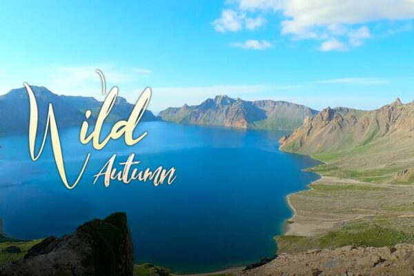 Discover Changbai Mountain: China’s Natural Autumn Wonderland 🌲🍂 Discover_Changbai_Mountain__China_s_Natural_Autumn_Wonderland___ video poster