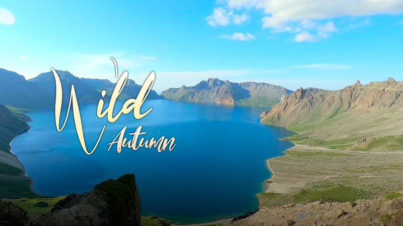 Discover_Changbai_Mountain__China_s_Natural_Autumn_Wonderland___ video poster