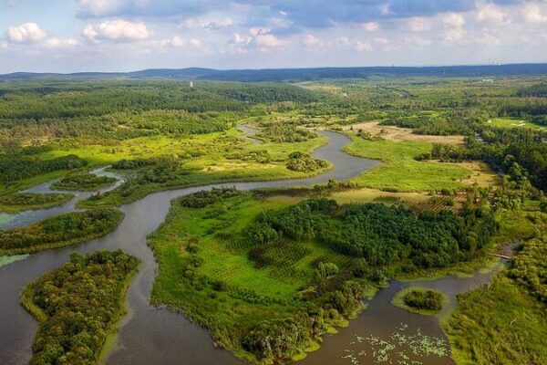Discover Changchun’s ‘Green Pearl’: Jingyuetan National Scenic Area 🌿🌙 Discover_Changchun_s__Green_Pearl___Jingyuetan_National_Scenic_Area___ video poster