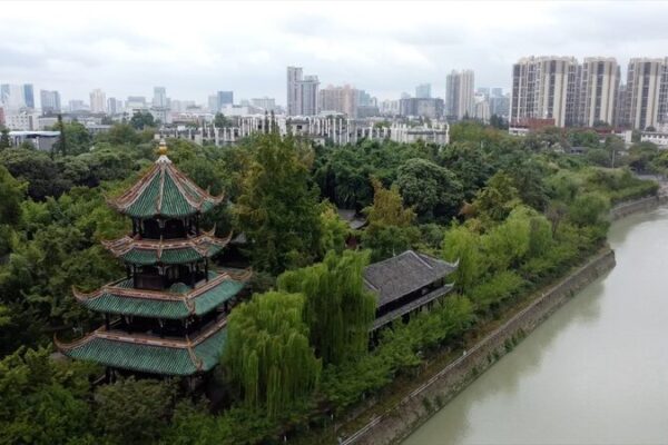 Discover Chengdu’s Bamboo Wonderland at Wangjianglou Park 🎋🏞️ Discover_Chengdu_s_Bamboo_Wonderland_at_Wangjianglou_Park____ video poster