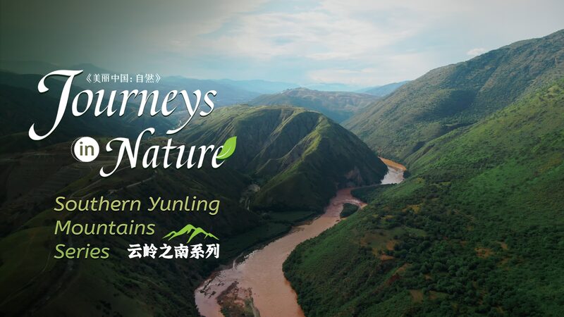 Discover_China_s_Hidden_Savanna_in_Yunnan_s_Yuanjiang_Valley___poster - News for amigos, by amigos Discover_China_s_Hidden_Savanna_in_Yunnan_s_Yuanjiang_Valley__ video poster