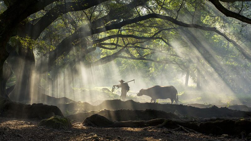 Discover_Fujian__China_s_Coastal_Gem__