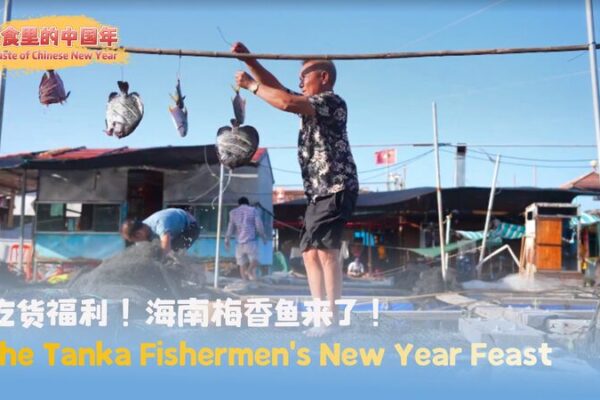 Discover Hainan’s Tanka New Year Feast: Plum-Scented Fish & Pufferfish Congee 🐟✨ Discover_Hainan_s_Tanka_New_Year_Feast__Plum_Scented_Fish___Pufferfish_Congee___ video poster