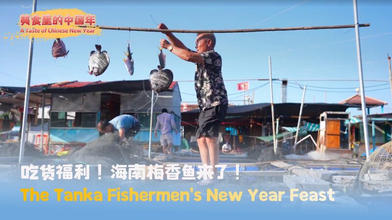 Discover_Hainan_s_Tanka_New_Year_Feast__Plum_Scented_Fish___Pufferfish_Congee____poster - News for amigos, by amigos Discover_Hainan_s_Tanka_New_Year_Feast__Plum_Scented_Fish___Pufferfish_Congee___ video poster