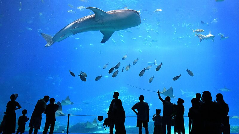 Discover_Hengqin__Extend_Your_Macao_Adventure_Just_Across_the_Bridge___ - News for amigos, by amigos Discover_Hengqin__Extend_Your_Macao_Adventure_Just_Across_the_Bridge___