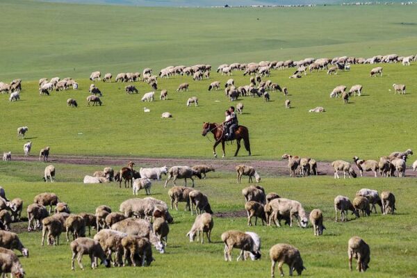 Discover Hulun Buir: Inner Mongolia’s Verdant Paradise 🌿 Discover_Hulun_Buir__Inner_Mongolia_s_Verdant_Paradise__