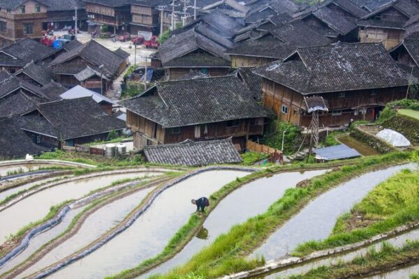 Discover Jiaju Village: Guizhou’s “Pearl on the Terraces” Discover_Jiaju_Village__Guizhou_s__Pearl_on_the_Terraces_