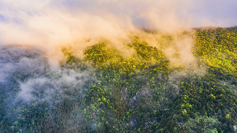 Discover_Mingxi_County__Fujian_s_Hidden_Bird_Paradise___ video poster